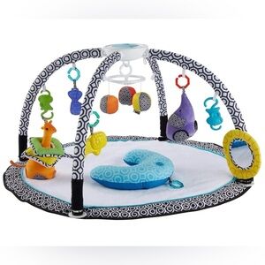 Fisher Price Jonathan Adler Sensory Gym Mat - Includes all original pieces!